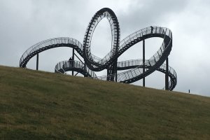 Tiger and Turtle