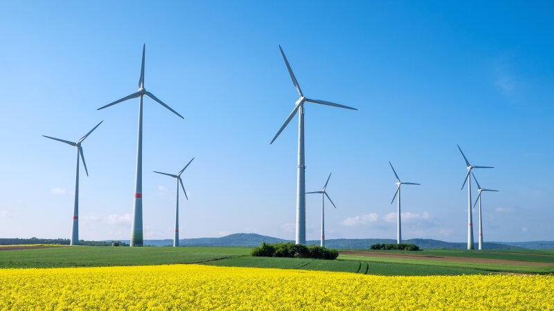 Est Adobestock 65596707 C Elxeneize