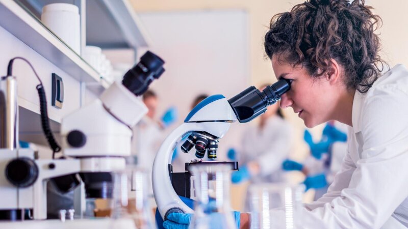 Grk Und Promotionsprogramme