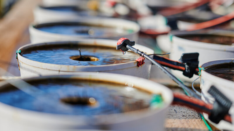 Reasons Wasserforschung-ude-c-frank-preuss