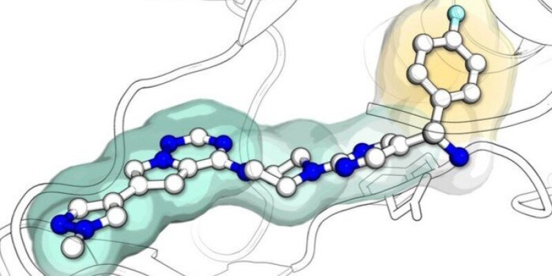 Csm Grafik Daniel Rauh 89291ad826 2zu1